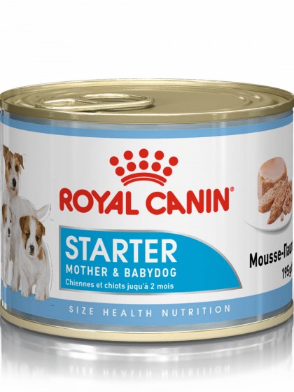 STARTER MOUSE CAN 12X195G_web